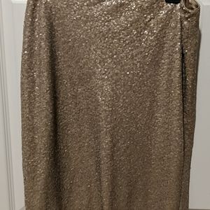NWT Lauren Party skirt